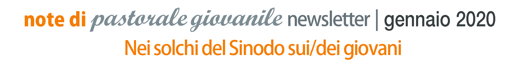 TESTATA NL GENNAIO