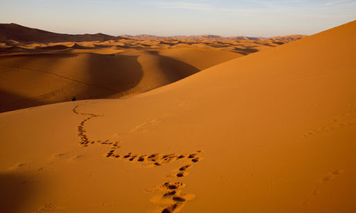 strada deserto