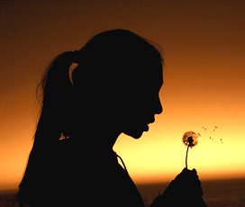 desiderio