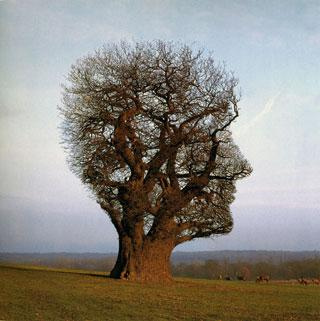 conoscenza 1