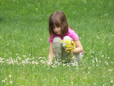 PIXABAY picking flowers girl child 391610