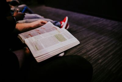 giovani bibbia sinodo