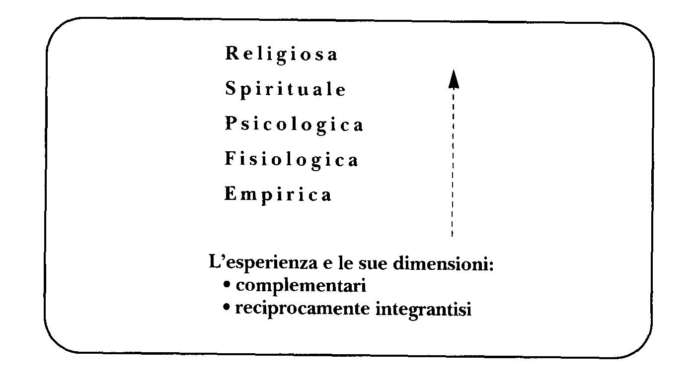 trenti51