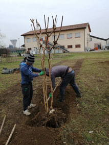 Migranti